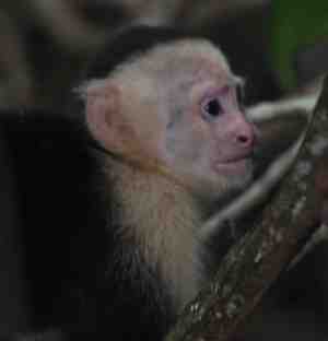 Una propuesta integral sobre los préstamos, las ejecuciones hipotecarias o desahucios y el sobreendeudamiento familiar.